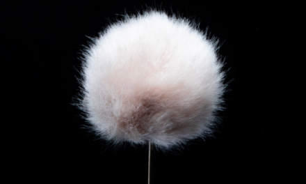 DPA MICROPHONES UNVEILS AIR1 UNIVERSAL MINIATURE FUR WINDSCREEN AT NAB 2024